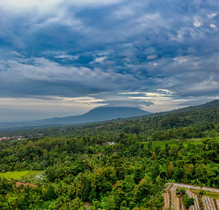 mengulik-makna-dan-keberuntungan-di-balik-erek-erek-angka-123