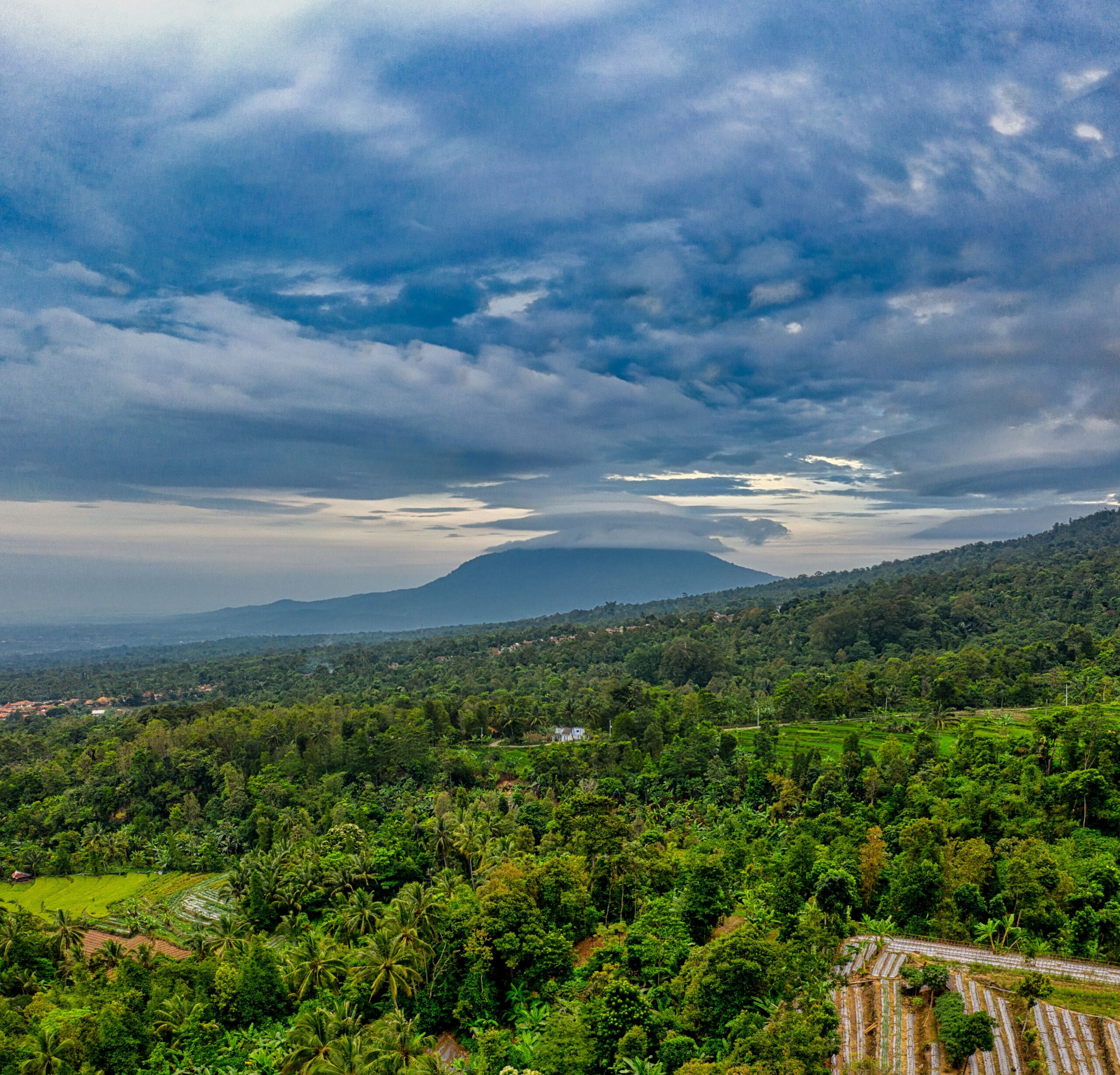 mengulik-makna-dan-keberuntungan-di-balik-erek-erek-angka-123
