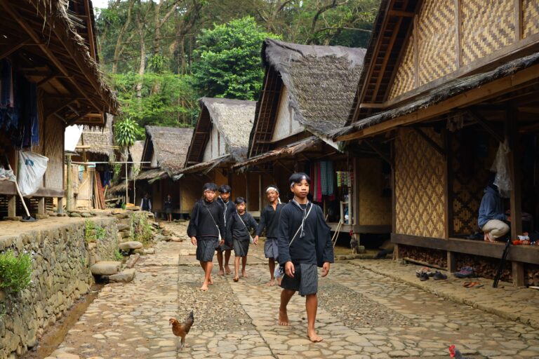 shio-monyet-2026-sosial-panduan-lengkap-menghadapi-tahun-668